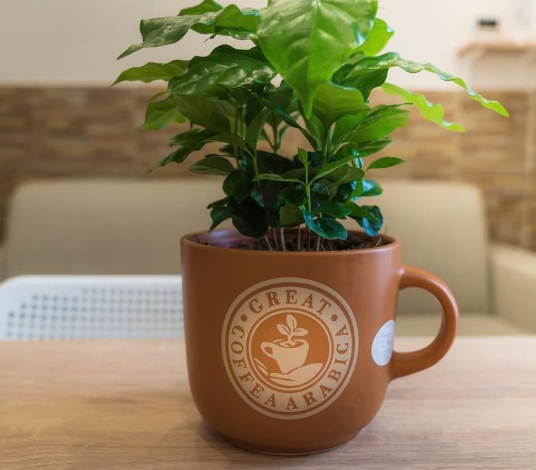 나폴리 Il Tempo Di Un Caffe 아파트 외부 사진